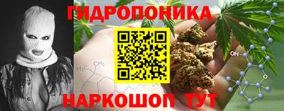 метадон Сланцы