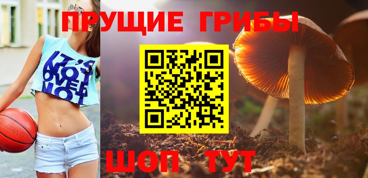 Галлюциногенные грибы MAGIC MUSHROOMS  Галлюциногенные грибы MAGIC MUSHROOMS  Вход с VPN  Норильск 
